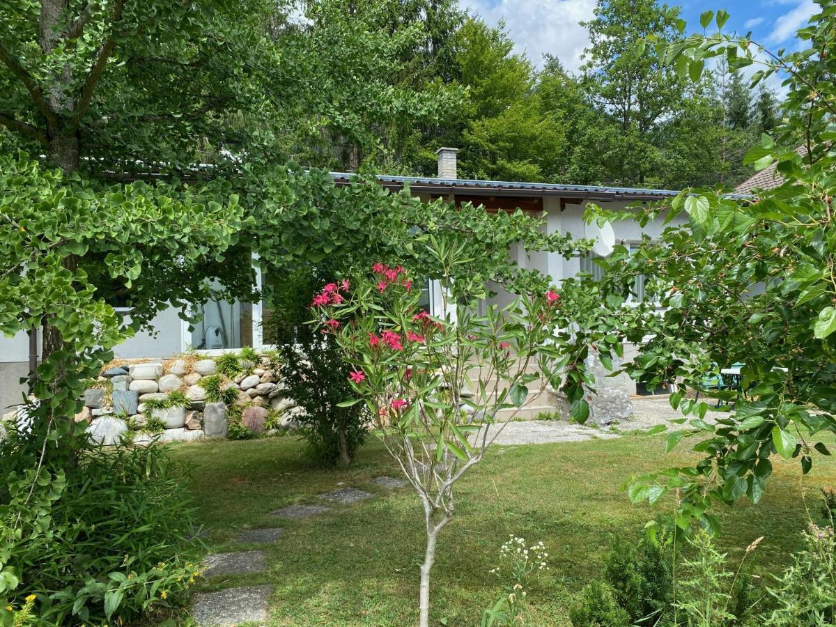 Bungalow Grabner Hermagor-Pressegger See Ngoại thất bức ảnh